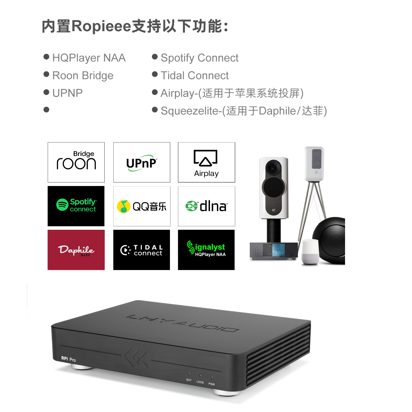 타이거 피쉬 오디오 RPI 프로 스트리밍 디지털 뮤직  - Music Audio Pro 리뷰 및 가격